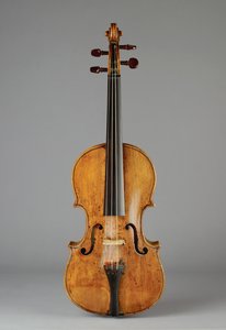 Violino